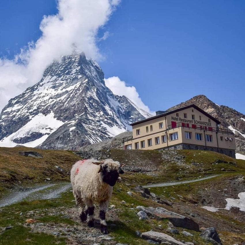 Hotel Schwarzsee Ζερμάτ Εξωτερικό φωτογραφία